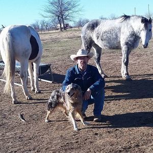 Meet your Posher, Terry